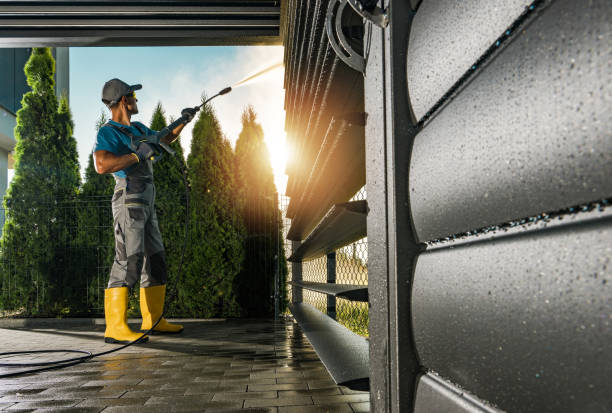 Best Graffiti Removal  in Mount Clemens, MI